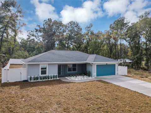 A home in BELLEVIEW