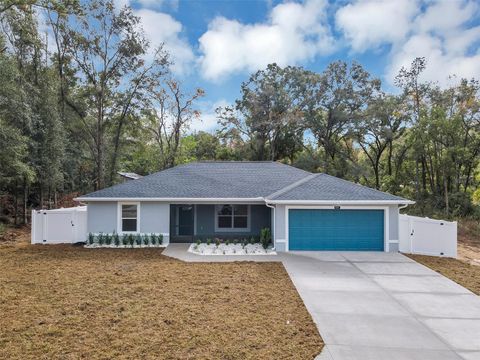 A home in BELLEVIEW