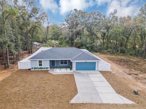 A home in BELLEVIEW