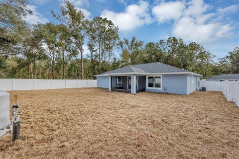 A home in BELLEVIEW