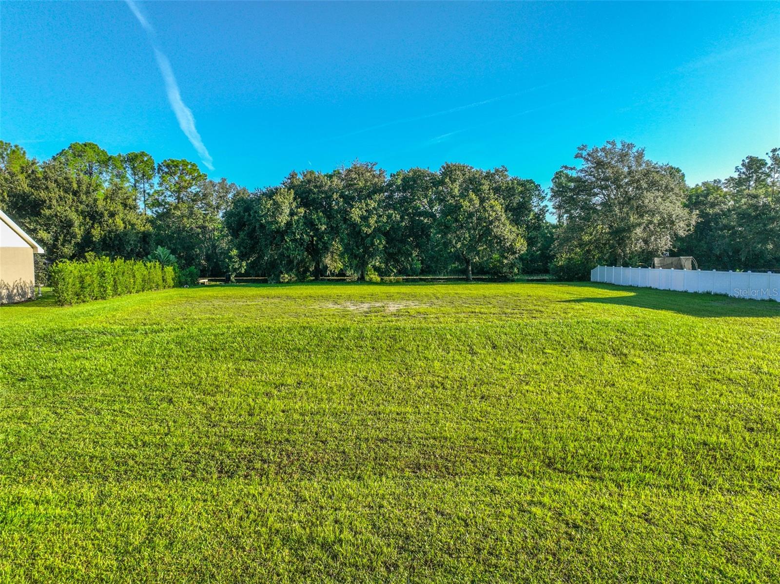 BUY ME NOW!! Location? We have it! Privacy? All yours! Accessibility? Consider it done! This lot is just under an acre and fronts a retention pond. Located a hop, skip, and a jump to State Road 54 - with tons of options for dining out, groceries, shopping, and even a good beer or two! Plus the Veterans Expressway with easy access to Tampa and the airport is just around the corner. Property is high and dry. No flooding issues or concerns after 2024 storms. Located in Pasco County but a stones throw to the Hillsborough County line. Survey available. Seller's are motivated.