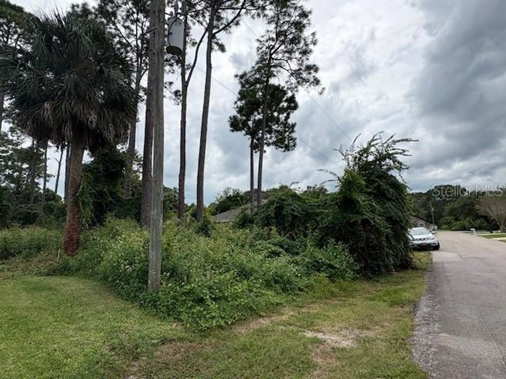 Photo of 109 Forsythe Lane, Palm Coast, FL 32137 (MLS # O6348872)