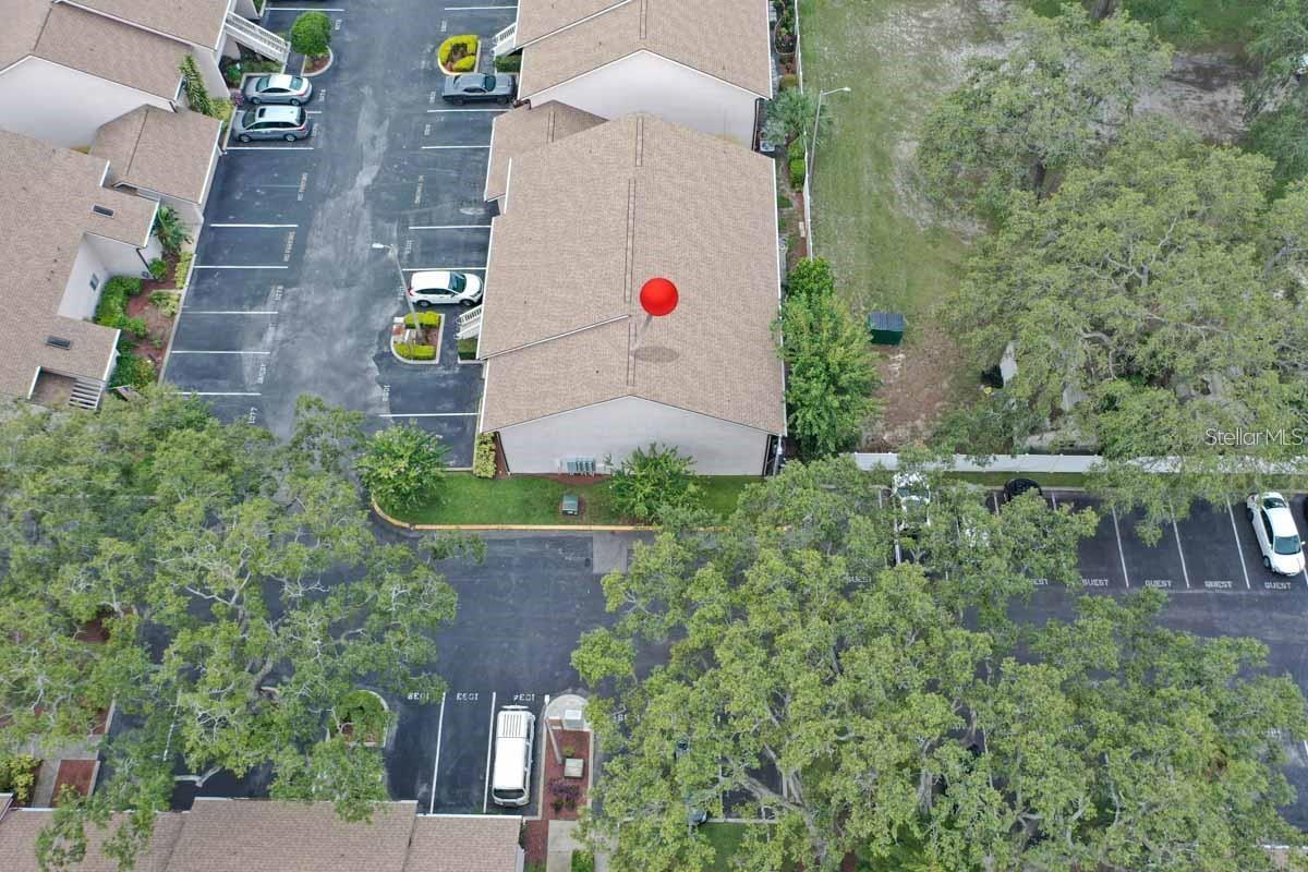 CARROLLWOOD PLACE A CONDOMINIU - Residential