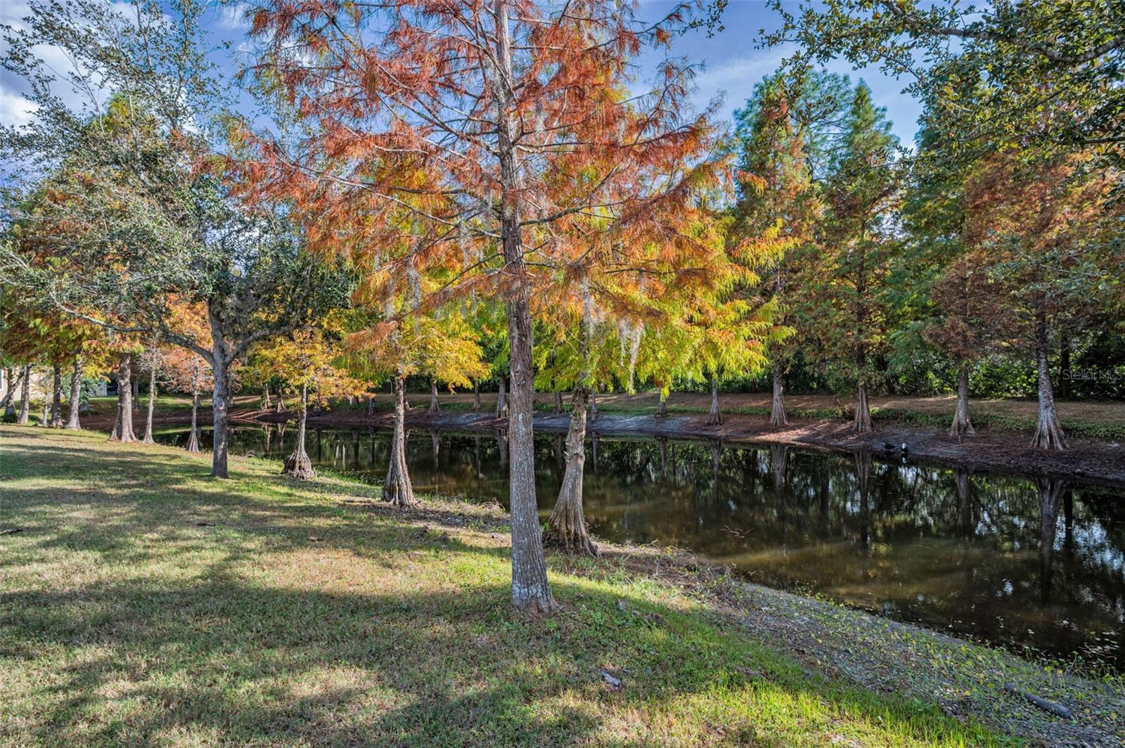 ROCKY CREEK ESTATES PH 2 - Residential