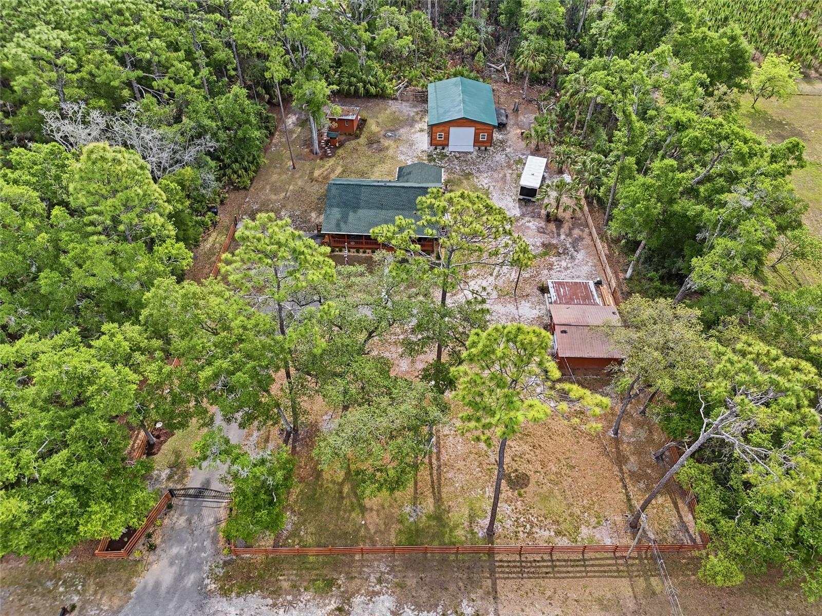 ENCHANTED FOREST - Residential
