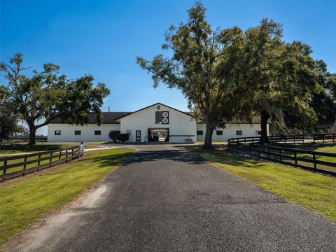 12870 W HIGHWAY 40 OCALA FL 34481