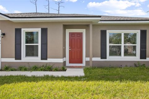 A home in DELAND