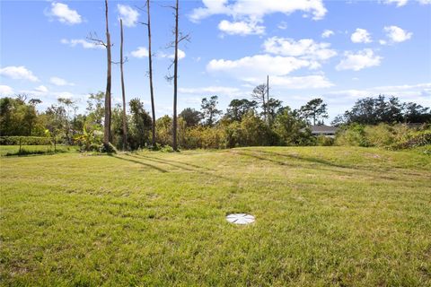 A home in DELAND