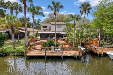11671 W RIVERHAVEN DRIVE HOMOSASSA FL 34448