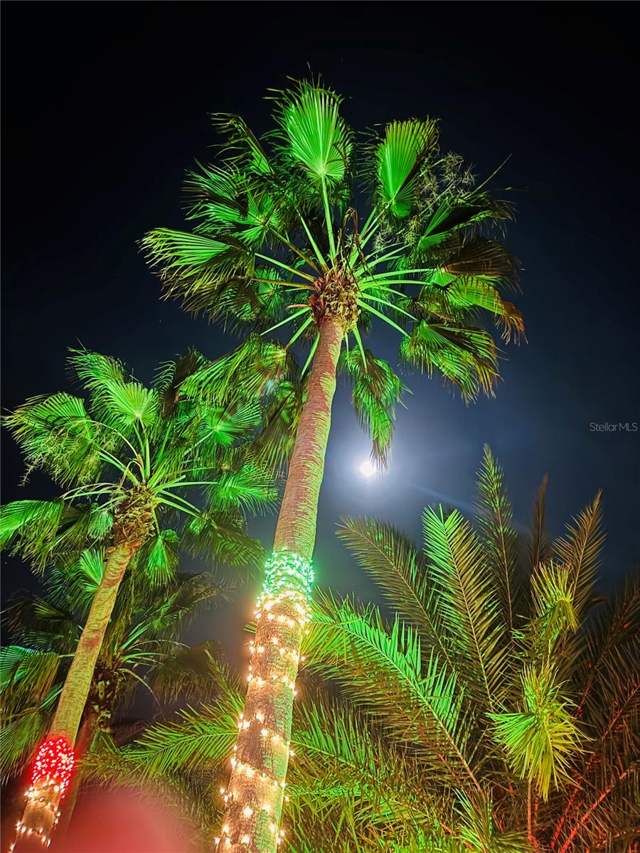 DEER CREEK GOLF & TENNIS RV RESORT PH 03-A - Residential