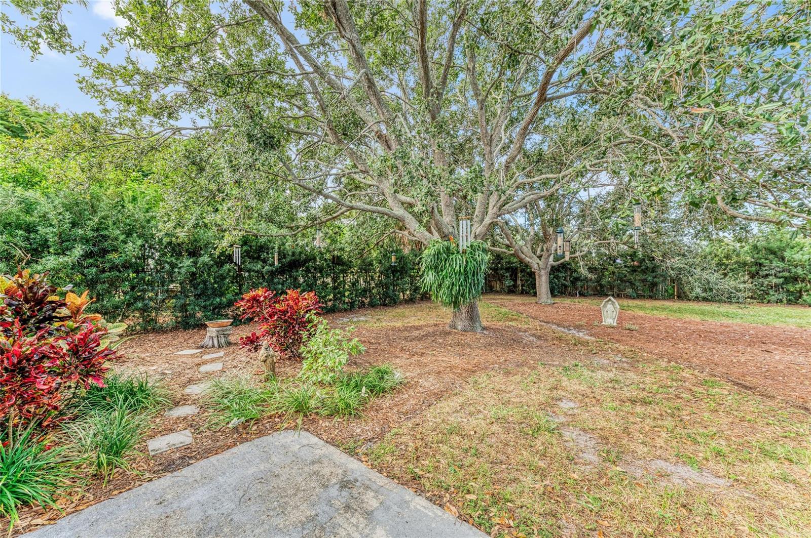 CENTURY ESTATES - Residential