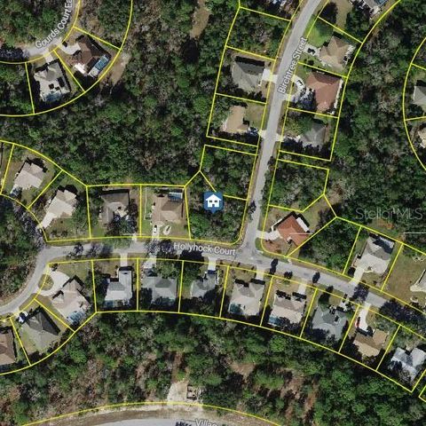 36 HOLLYHOCK COURT HOMOSASSA FL 34446