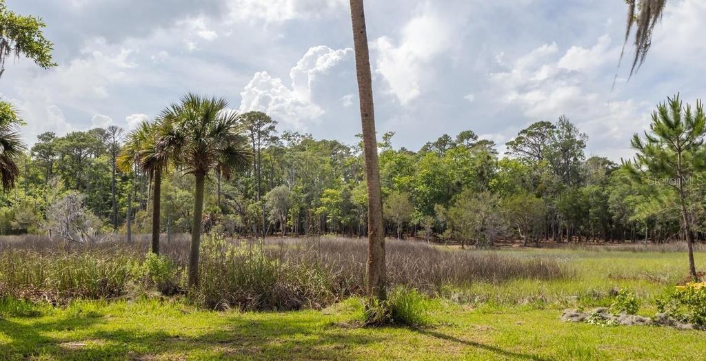 Photo of 7149 Fitzpatrick Lane, Jacksonville, FL 32226 (MLS # GC540866)