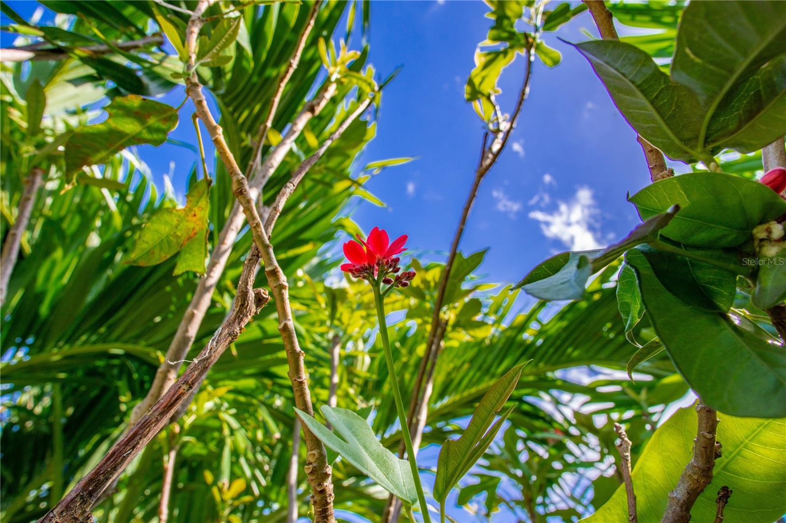 VILLAGE GREEN OF BRADENTON - Residential