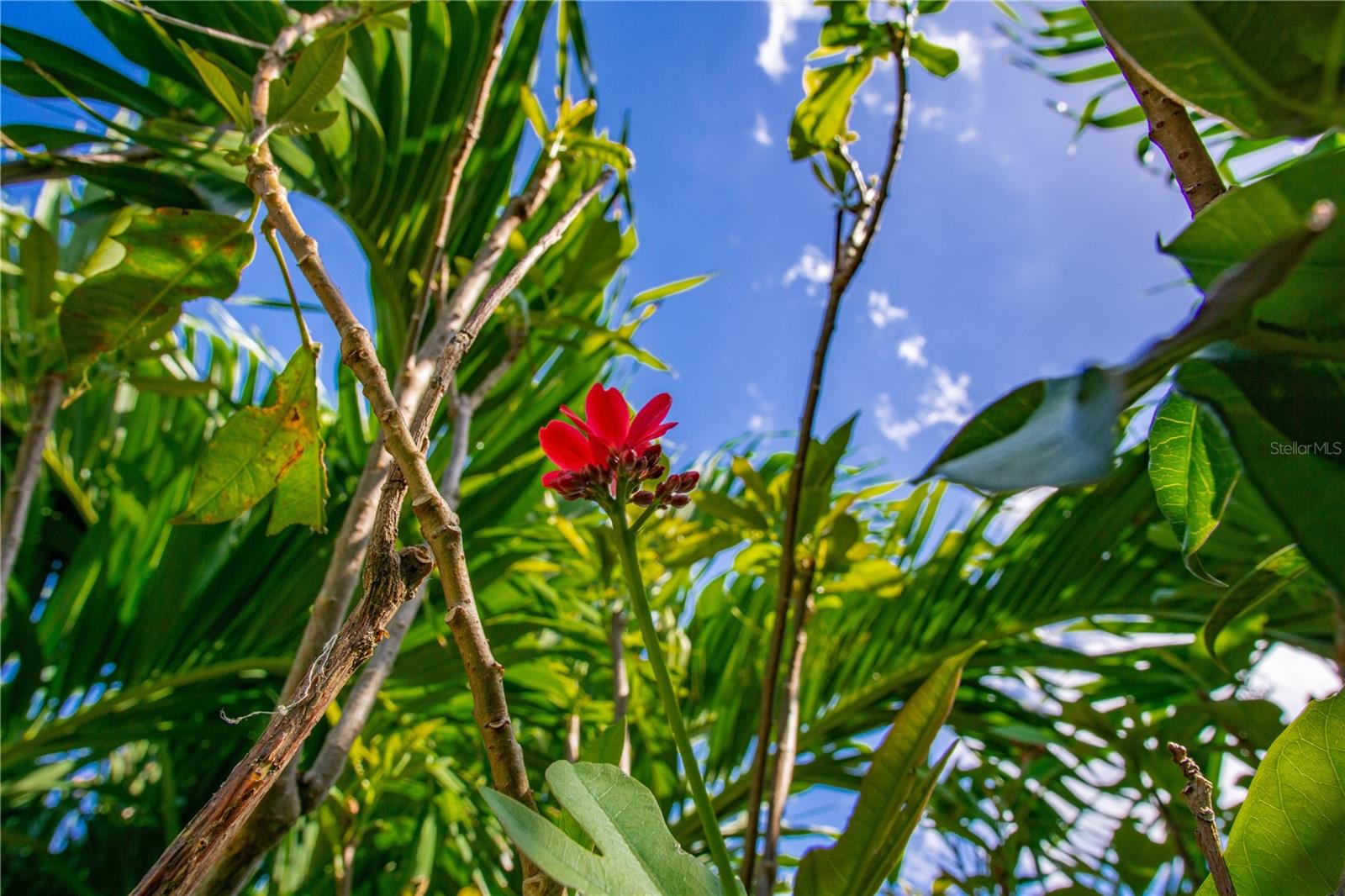 VILLAGE GREEN OF BRADENTON - Residential
