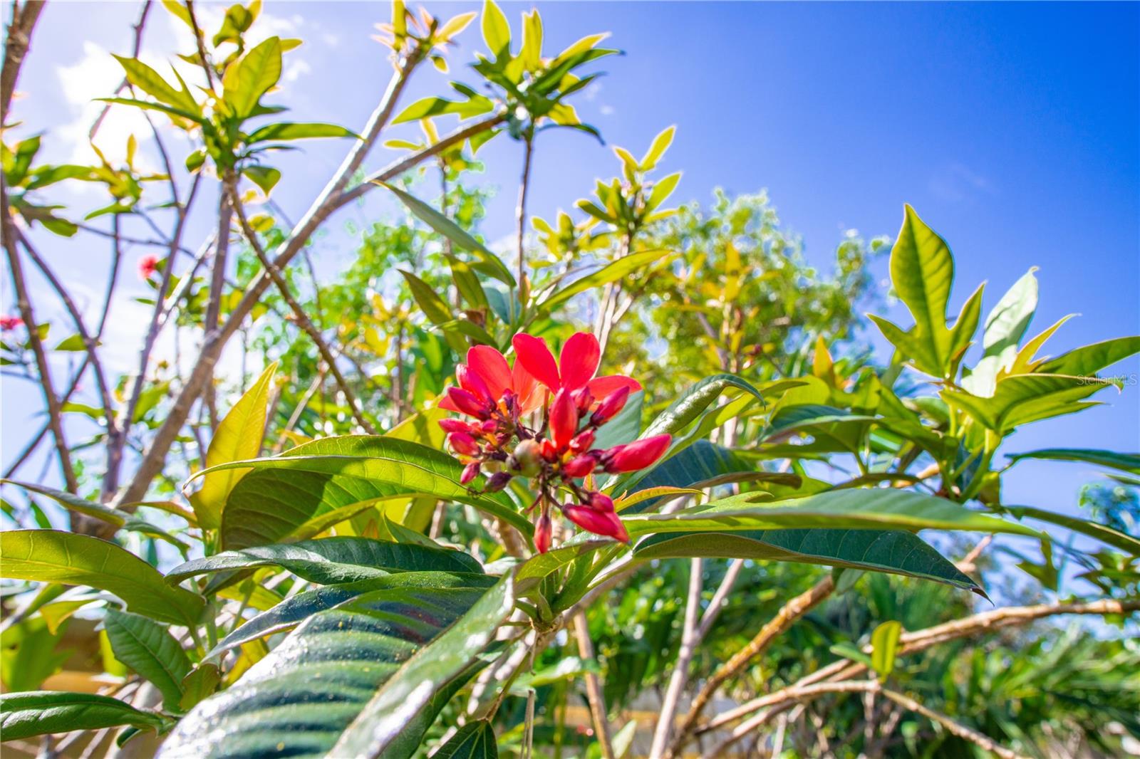 VILLAGE GREEN OF BRADENTON - Residential