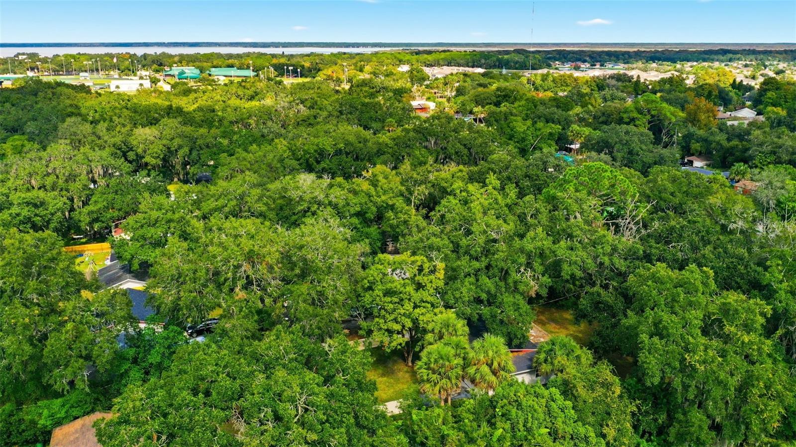 BUENA VISTA ESTATES - Residential