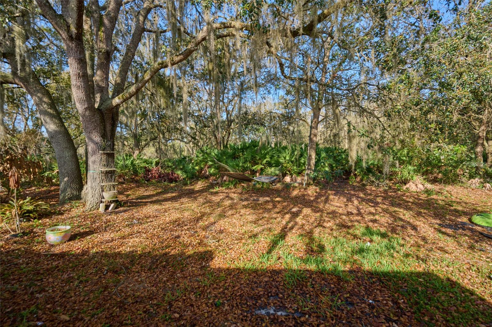 INDIAN LAKE ESTATES - Residential