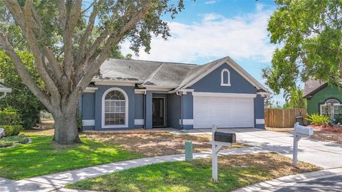 Photo of 4722 Lighterwood Way, Valrico, FL 33596 (MLS # GC530302)