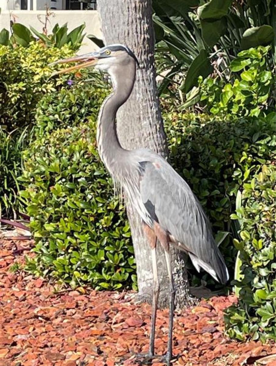 RIVERSIDE CONDO - Residential