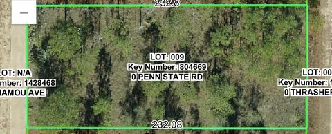 00 PENN STATE ROAD WEEKI WACHEE FL 34613