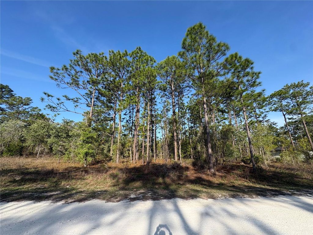 Photo of 00 Penn State Road, Weeki Wachee, FL 34613 (MLS # W7884415)