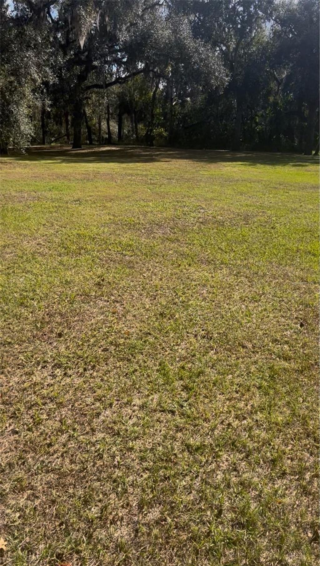 Photo of Coconut Cove Pl, Valrico, FL 33596 (MLS # TB8508867)