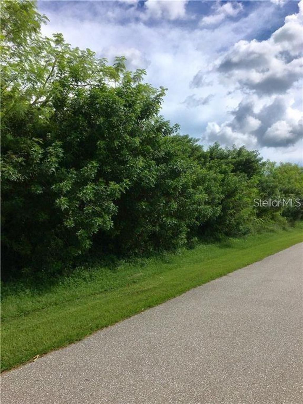 Photo of 12739 Bacchus Road, Port Charlotte, FL 33981 (MLS # TB8495888)