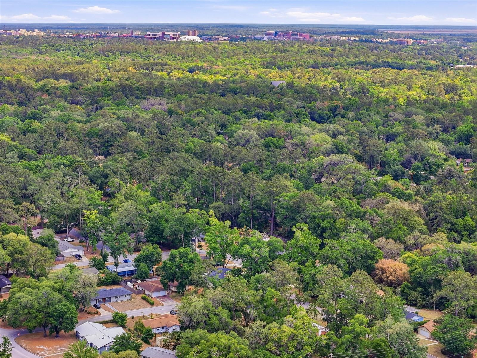 PALM VIEW ESTATES - Residential
