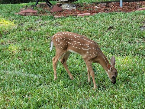 A home in DUNNELLON