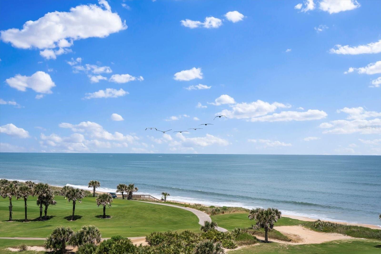 NORTHSHORE 04 - Residential