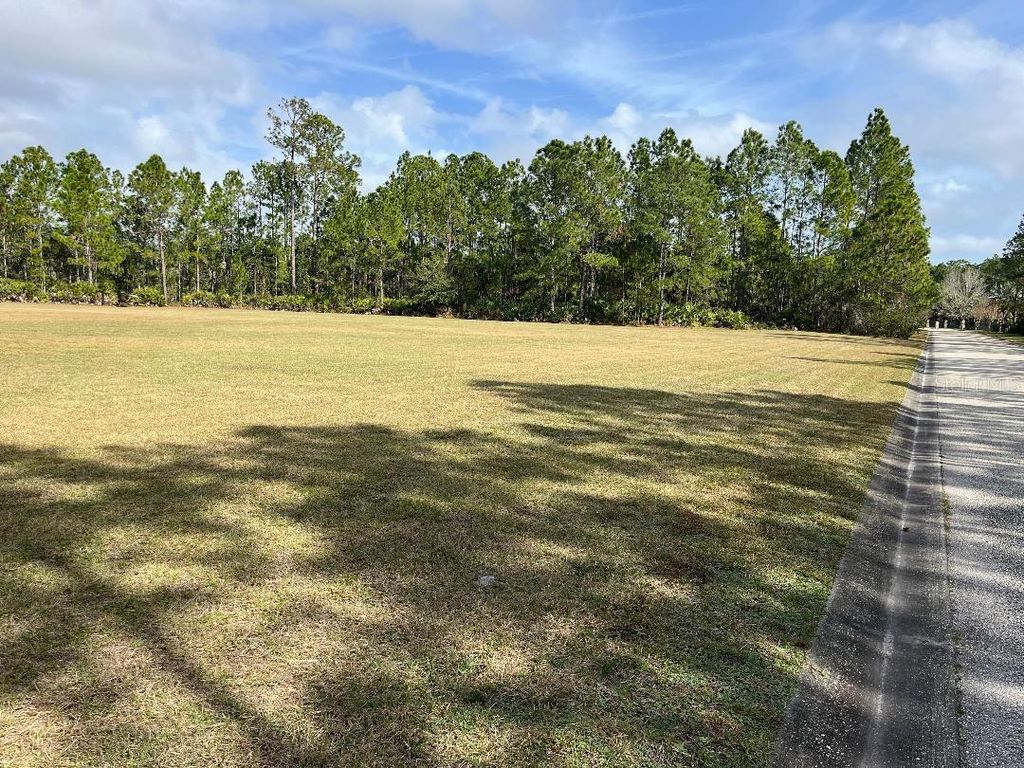 Photo of 2150 Spruce Creek Circle W, Port Orange, FL 32128 (MLS # O6373564)