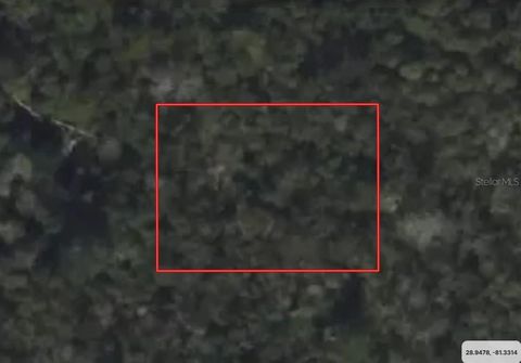 RIEGEL (PAPER) AVENUE ORANGE CITY FL 32763