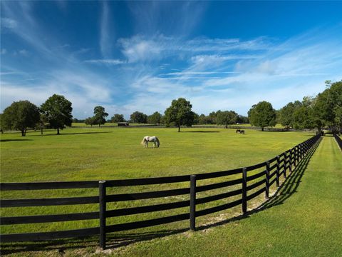 Tiny photo for 2875 NW 150th Avenue, Ocala, FL 34482 (MLS # OM715167)