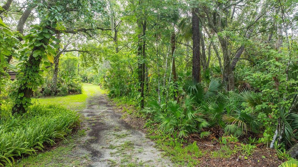 CAMBRIDGE ACRES - Residential