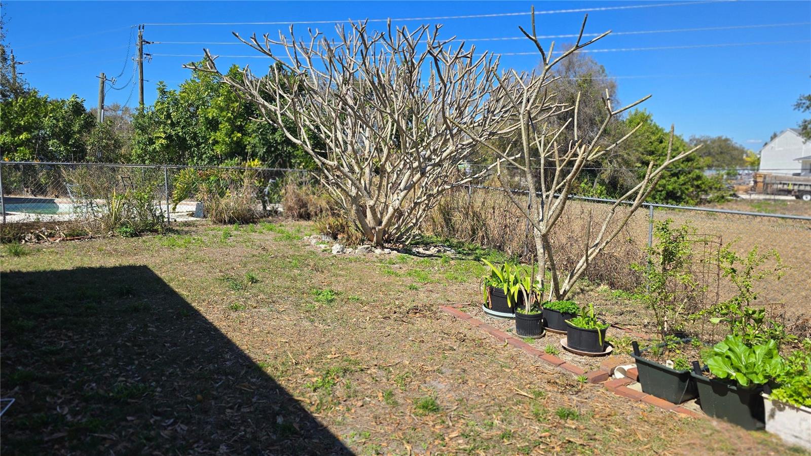 SPRING OAKS - Residential