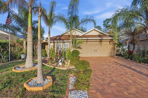 Photo of 2848 Doe Run Trail, Orange City, FL 32763 (MLS # O6391108)