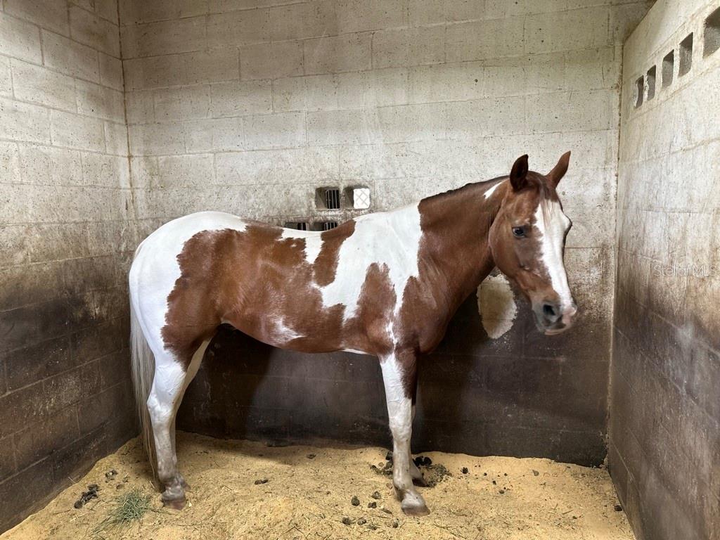 Ashby Cove Estates Unrec - Residential