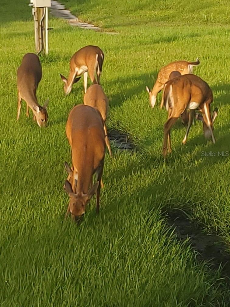 Ashby Cove Estates Unrec - Residential