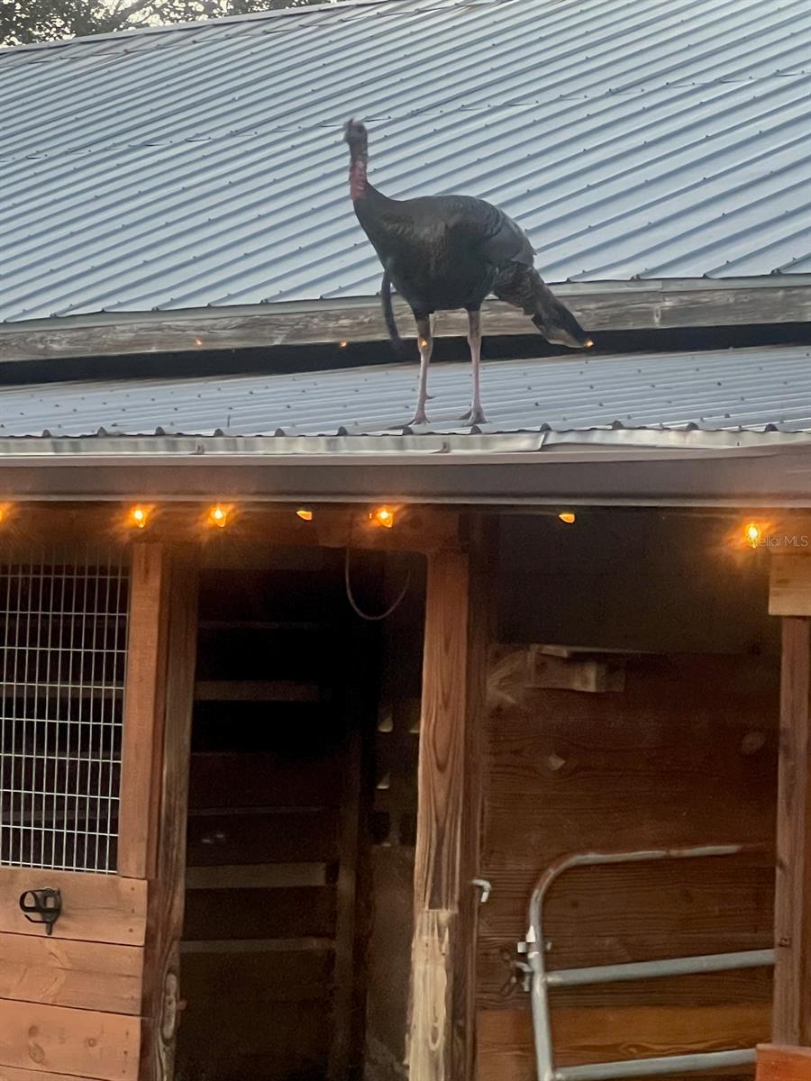 Ashby Cove Estates Unrec - Residential