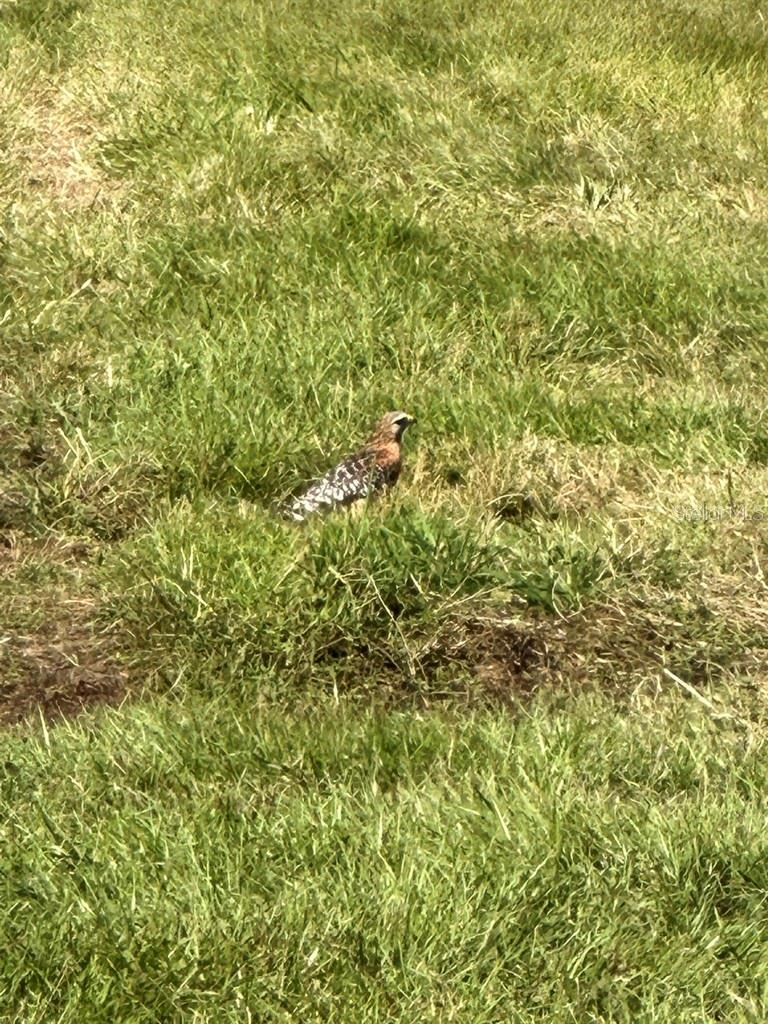 Ashby Cove Estates Unrec - Residential