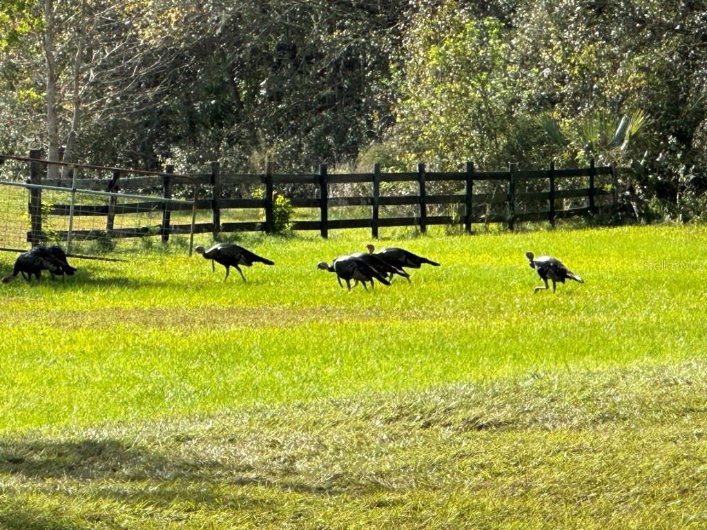 Ashby Cove Estates Unrec - Residential