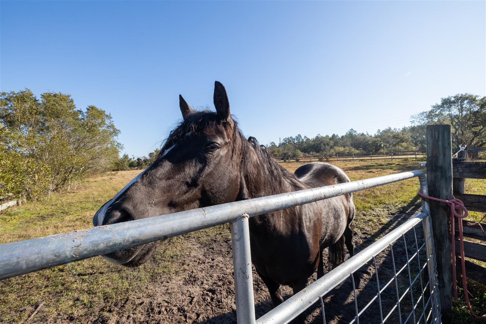 Ashby Cove Estates Unrec - Residential