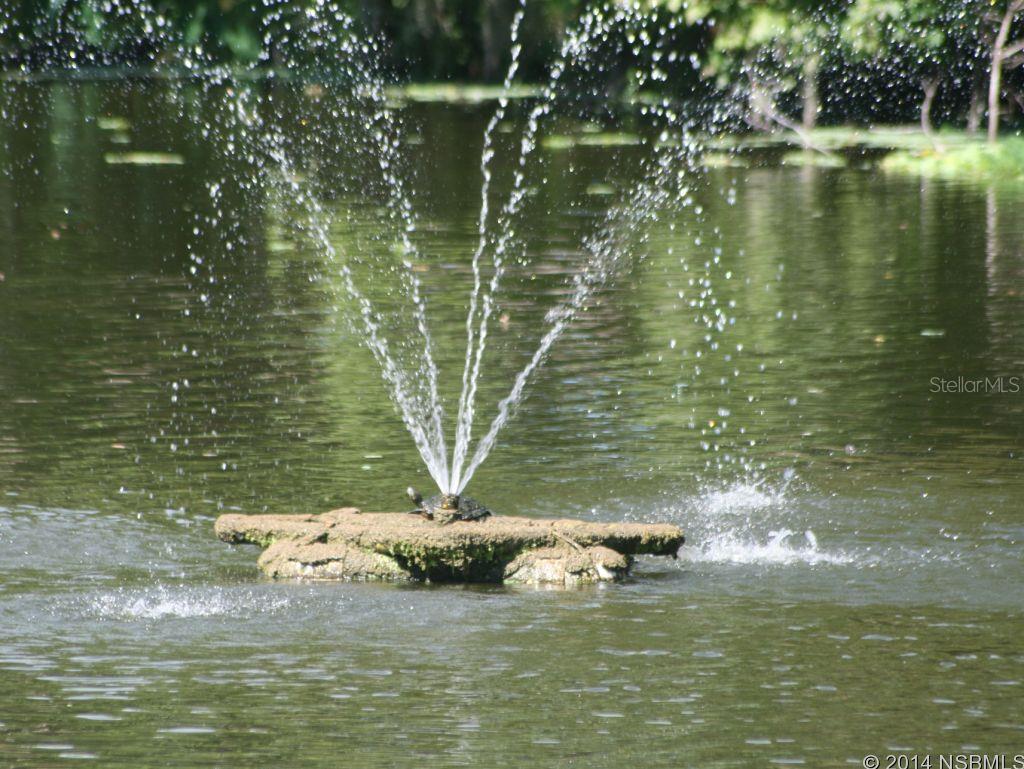 Florida Shores 01 - Land