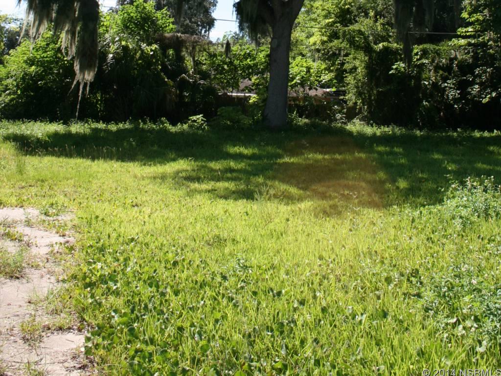 Florida Shores 01 - Land