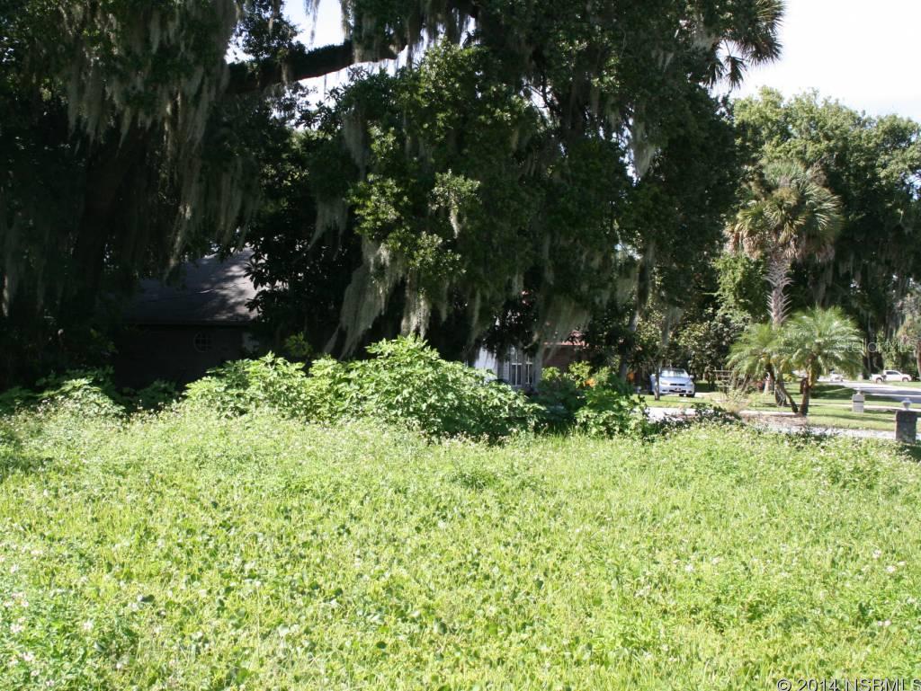 Florida Shores 01 - Land