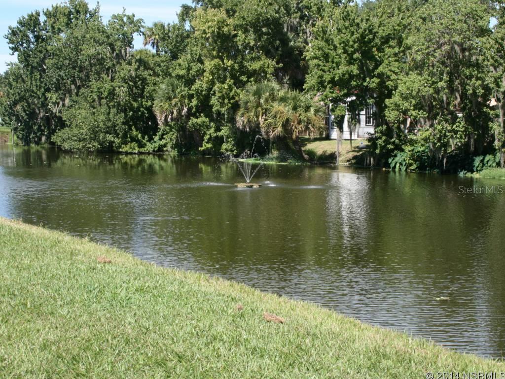 Florida Shores 01 - Land