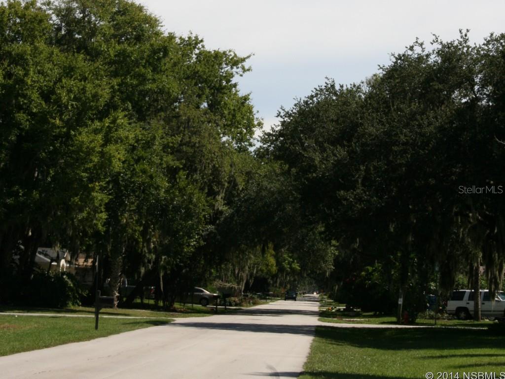 Florida Shores 01 - Land