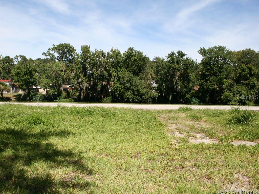 Florida Shores 01 - Land