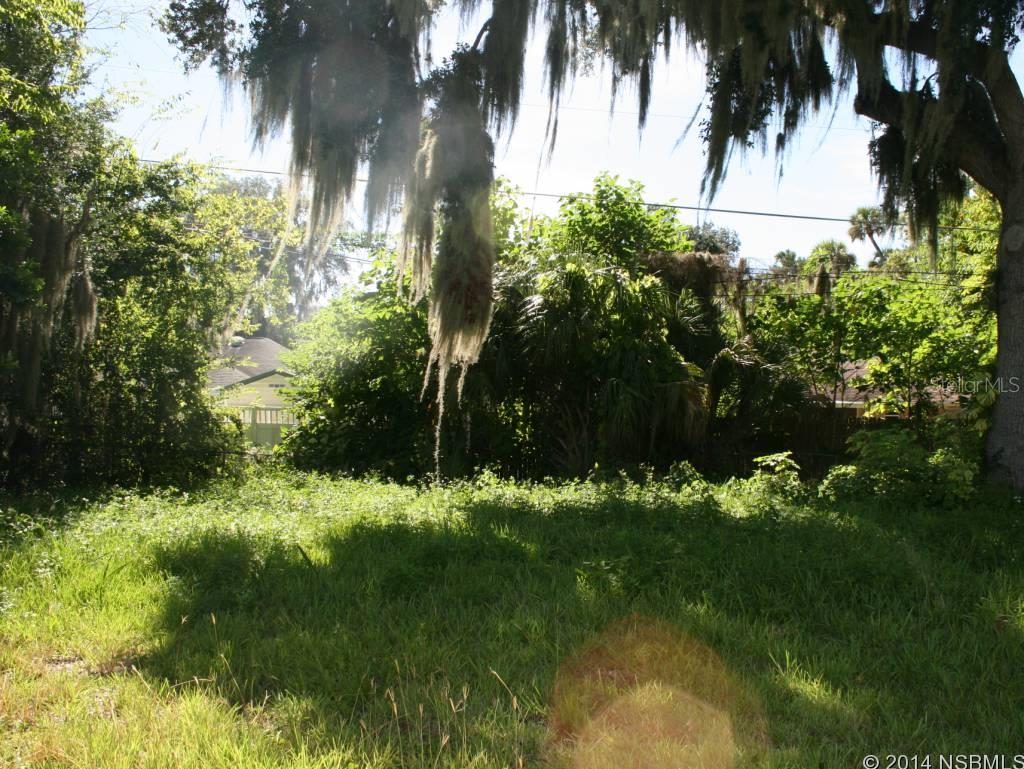 Florida Shores 01 - Land